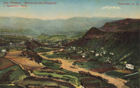 EL DRAGONAL