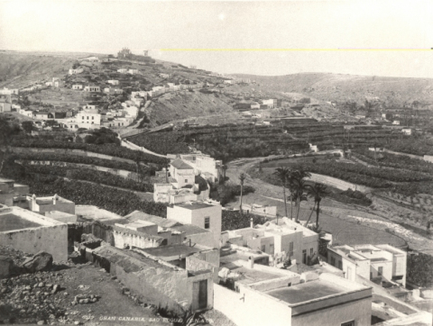 EL GUINIGUADA Y SAN ROQUE