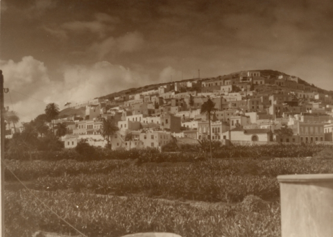 FINCAS DEL PAMBASO Y RISCO DE SAN NICOLÁS