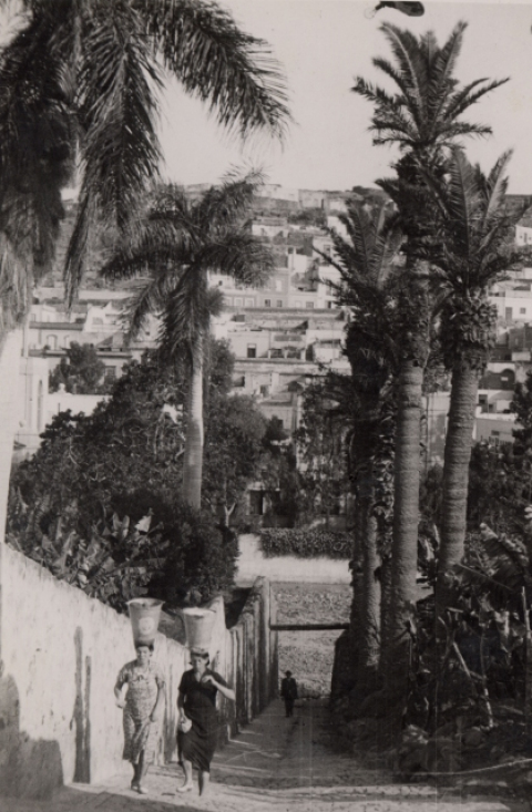 LA SUBIDA DESDE EL BARRANCO