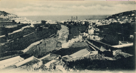LAS PALMAS Y GUINIGUADA DESDE SAN ROQUE