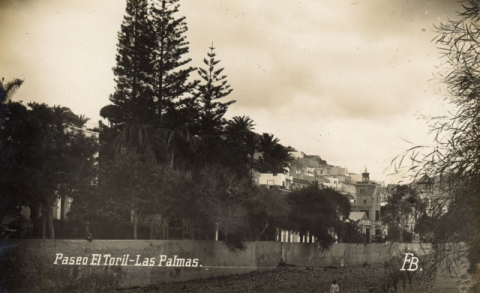 PASEO DEL TORIL