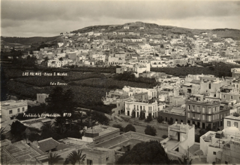 RISCO DE SAN NICOLÁS Y FINCAS DEL PAMBASO DESDE LA CATEDRAL