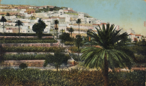 RISCO SAN NICOLÁS