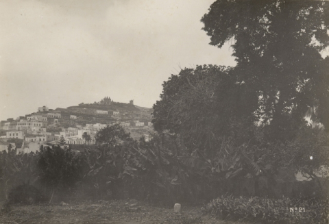 SAN ROQUE Y FINCAS