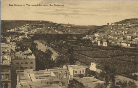 SAN ROQUE, SAN NICOLÁS. GUINIGUADA Y FINCAS DE LA CATEDRAL
