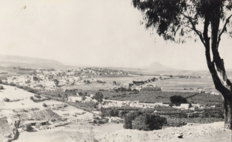 TAMARACEITE, VISTA GENERAL