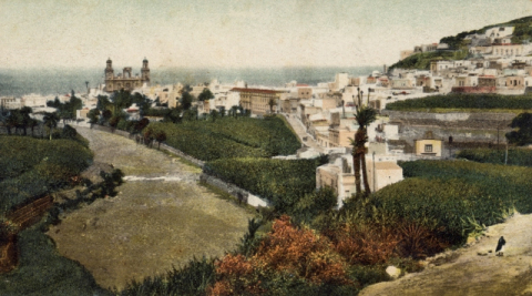 VEGUETA Y SAN JUAN DESDE SAN ROQUE