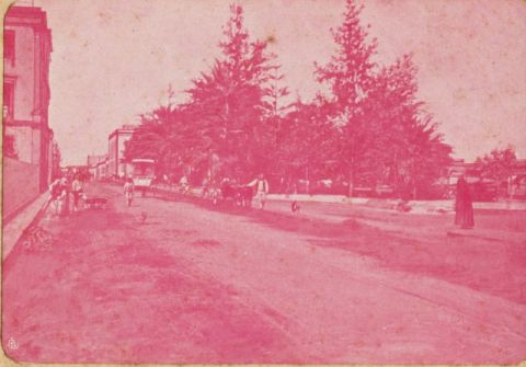 PARQUE DE SAN TELMO DESDE  LA CALLE BUENOS AIRES