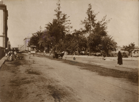 PARQUE DE SAN TELMO Y CALLE DE LEÓN Y CASTILLO