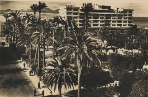 PARQUE DE SAN TELMO Y HOTEL PARQUE