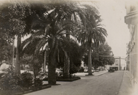 CALLE DR. DENIZ Y ALAMEDA DE COLÓN