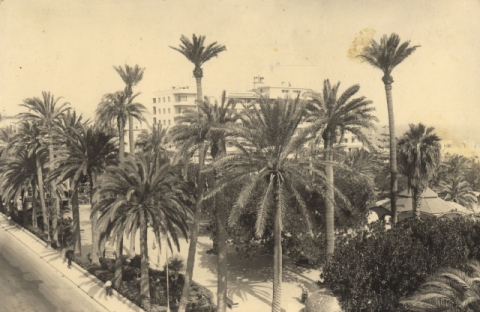 PARQUE DE SAN TELMO