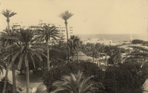 PARQUE DE SAN TELMO