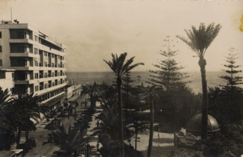 SAN TELMO Y HOTEL PARQUE