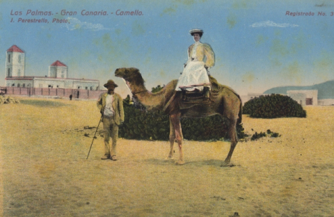 EL CAMELLERO DEL PUERTO Y LA SEÑORA