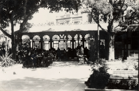 PLAZA DE LAS RANAS