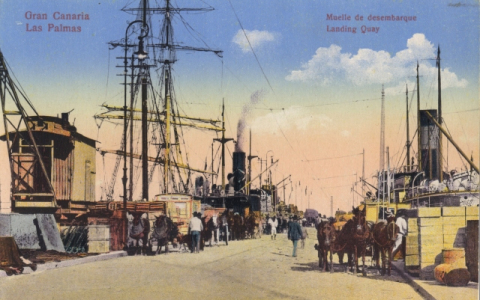 CARROS Y BARCOS