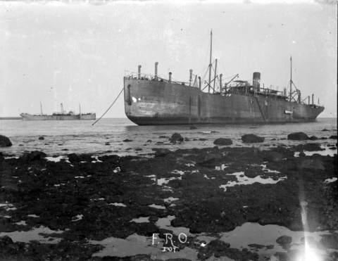 EL DENTON GRANGE ENCALLADO EN EL MARISCO