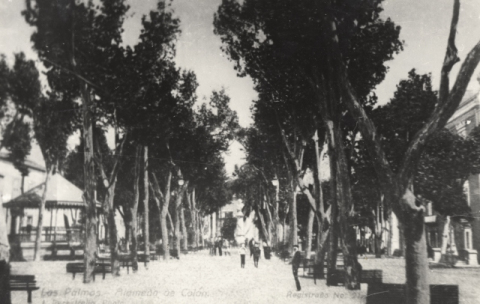 ALAMEDA DE COLÓN