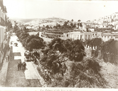 EL TORIL