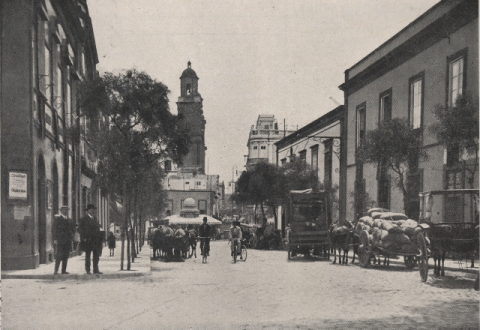 CALLE MURO