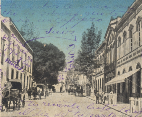 CALLE MURO