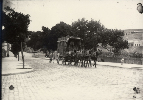 LA CALLE NUEVA("BRAVO MURILLO")