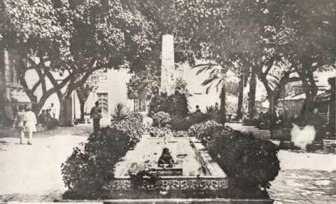 FUENTE DE LAS RANAS