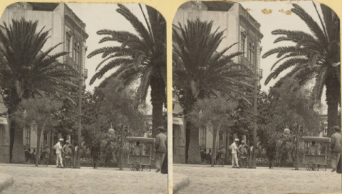 LA PLAZA DE LAS RANAS