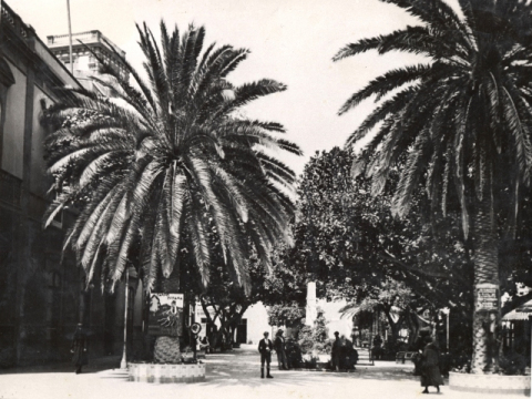 PALMERAS DE HURTADO DE MENDOZA
