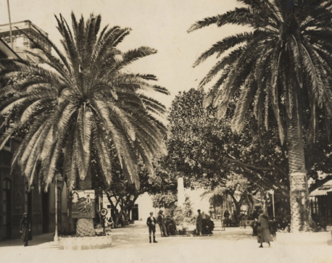 PLAZA DE LAS RANAS