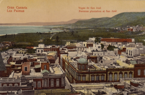 VEGUETA Y VEGA DE SAN JOSÉ DESDE LO ALTO DE LA CATEDRAL
