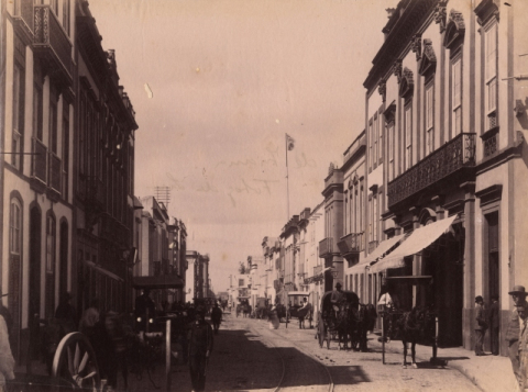 TARTANAS DE TRIANA
