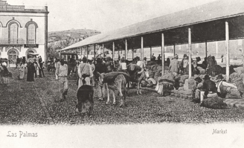 TINGLADOS DEL MERCADO DE VEGUETA