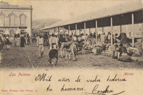 TINGLADOS Y VENDEDORES EN EL MERCADO DE VEGUETA