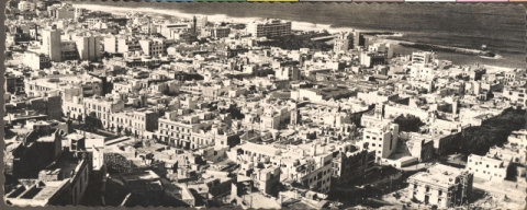 VISTA PARCIAL DE LAS PALMAS