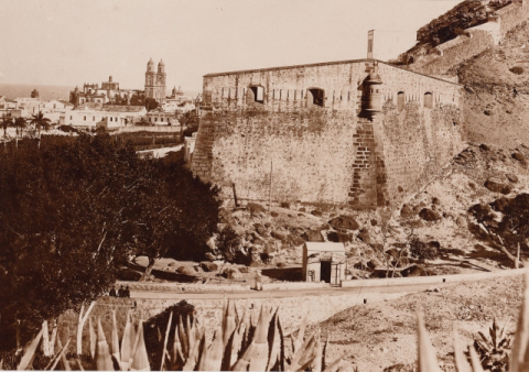 FIELATO DEL CUARTEL DE ALONSO ALVARADO (CASTILLO DE MATA)