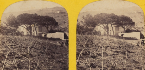 CASA Y TIERRAS DE VIÑAS