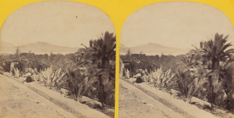 LA ACEQUIA