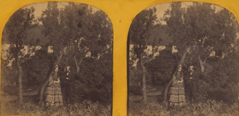 MIRIÑAQUES EN EL JARDÍN