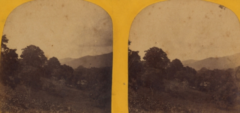 PAISAJE DEL MONTE