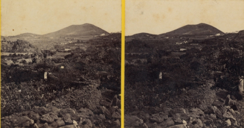 VISTA DEL LENTISCAL