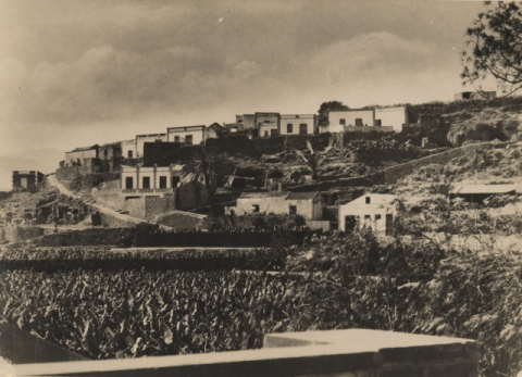 FINCAS DEL RISCO DE SAN NICOLÁS