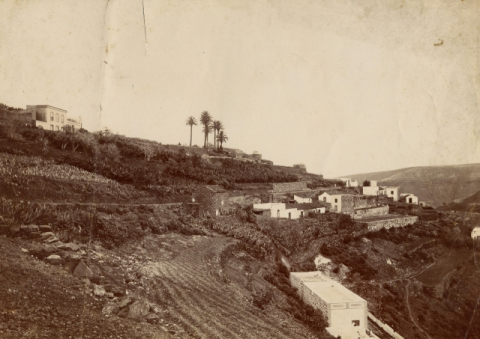 TENOYA