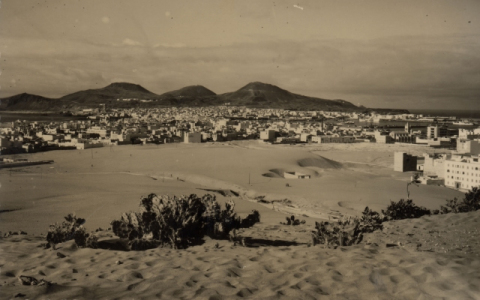 EL PUERTO Y LOS ARENALES