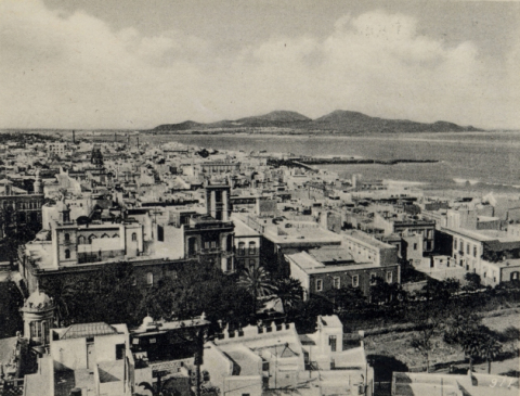 PANORÁMICA DE LAS PALMAS Y EL PUERTO DESDE LA CATEDRAL