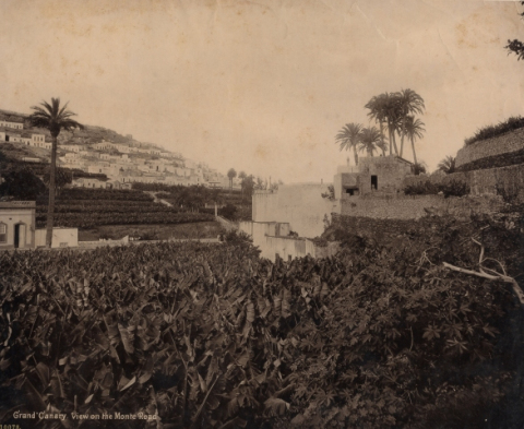 SAN NICOLÁS DESDE LA CARRETERA DEL MONTE