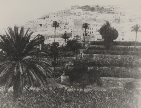 SAN NICOLÁS