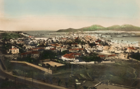 VISTA PARCIAL DE LAS PALMAS